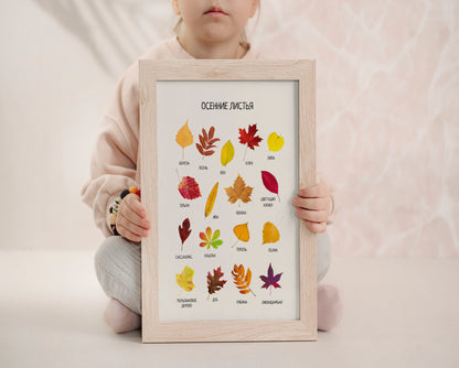 Fall Leaves Poster - Educational Russian Wall Decor Poster