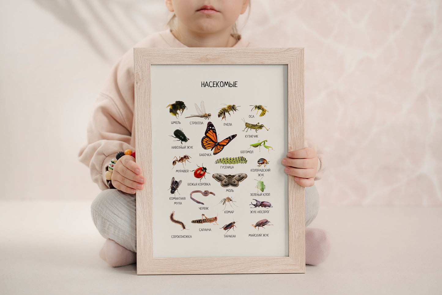 Обучающий плакат "Насекомые" | Russian Insect Educational Poster, Printable Poster, Kids Room Decor, Various Sizes Available for Download