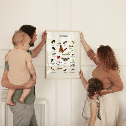 Обучающий плакат "Насекомые" | Russian Insect Educational Poster, Printable Poster, Kids Room Decor, Various Sizes Available for Download