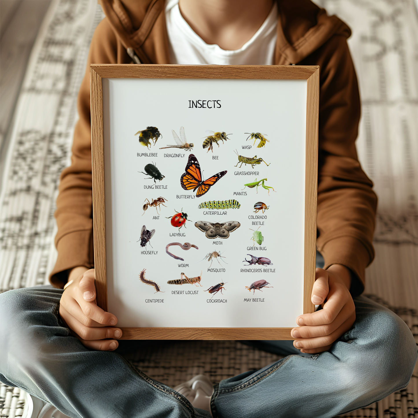 Insects Educational Poster, Montessori Poster, Kids Wall Print Poster, Classroom Decor, Nursery Room Decor, FRAME NOT INCLUDED