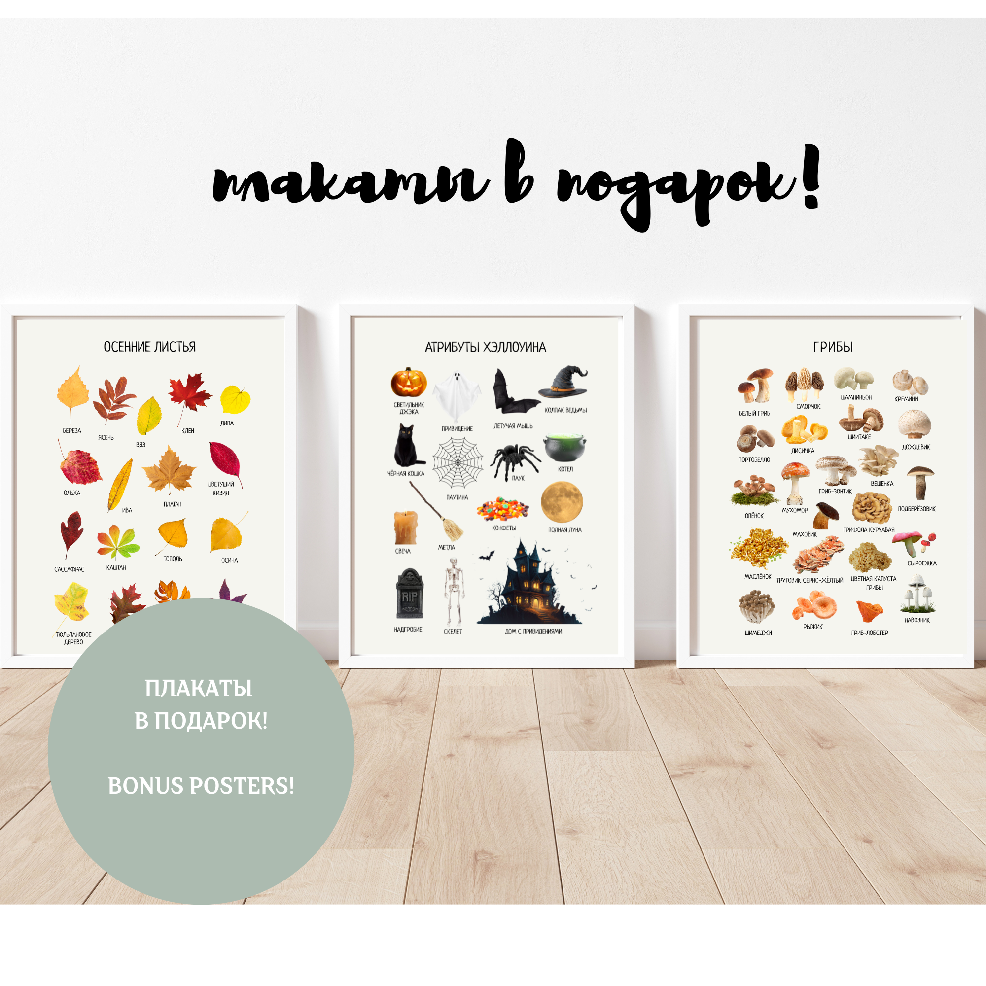 Комплект из 40 обучающих ЦИФРОВЫХ плакатов | Collection of educational digital posters in Russian, 40 Topics for Young Children & Preschoolers