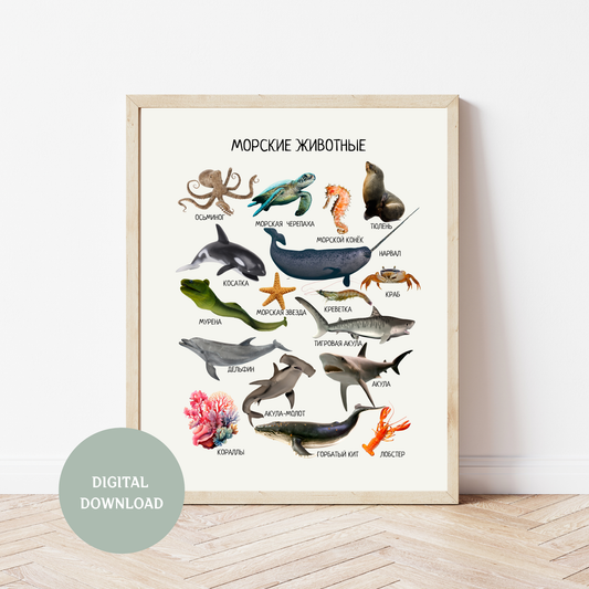 Обучающий плакат "Морские животные" | Marine Animals Educational Poster in Russian, Montessori Printable Learning Poster
