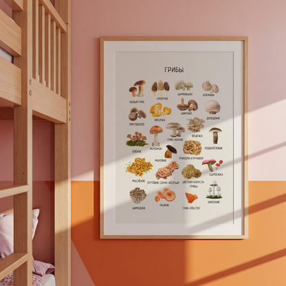 Mushroom Poster - Educational Russian Wall Decor Homeschool Poster