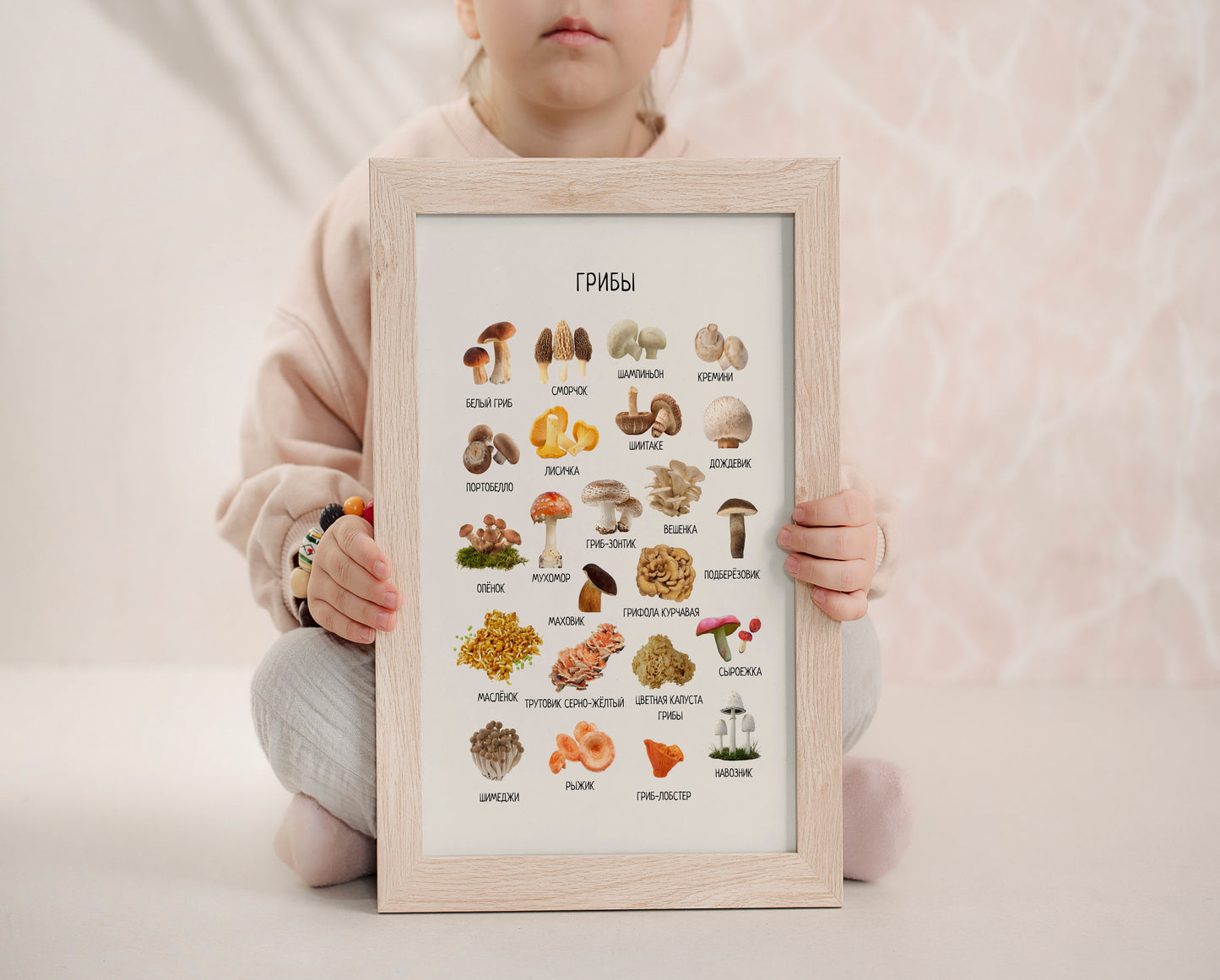Mushroom Poster - Educational Russian Wall Decor Homeschool Poster