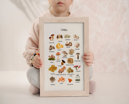 Mushroom Poster - Educational Russian Wall Decor Homeschool Poster