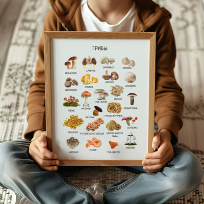 Mushroom Poster - Educational Russian Wall Decor Homeschool Poster