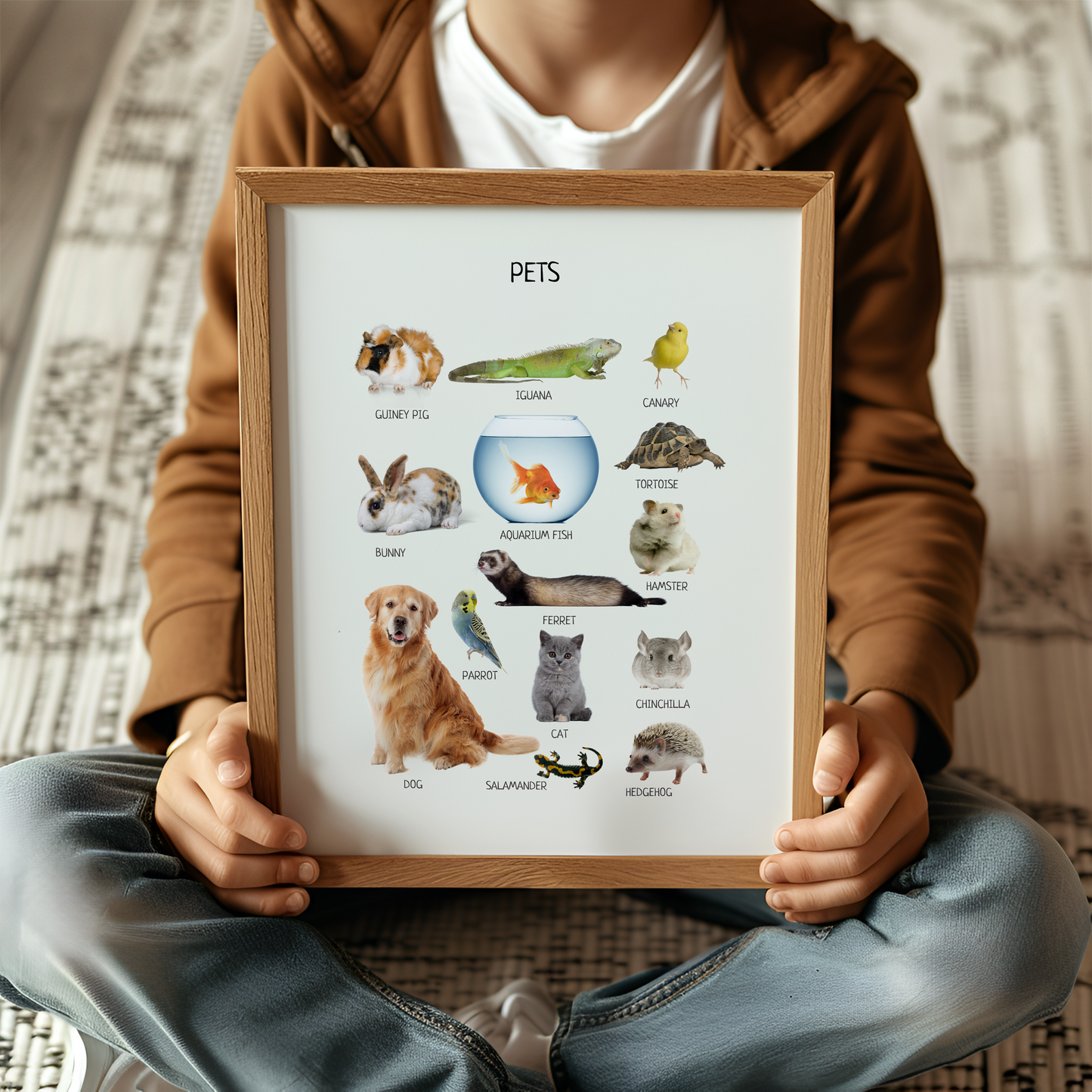 Pets Poster, Animals Wall Art, Montessori Poster, Kids Wall Print Poster, Classroom Decor, Nursery Room Decor, FRAME NOT INCLUDED