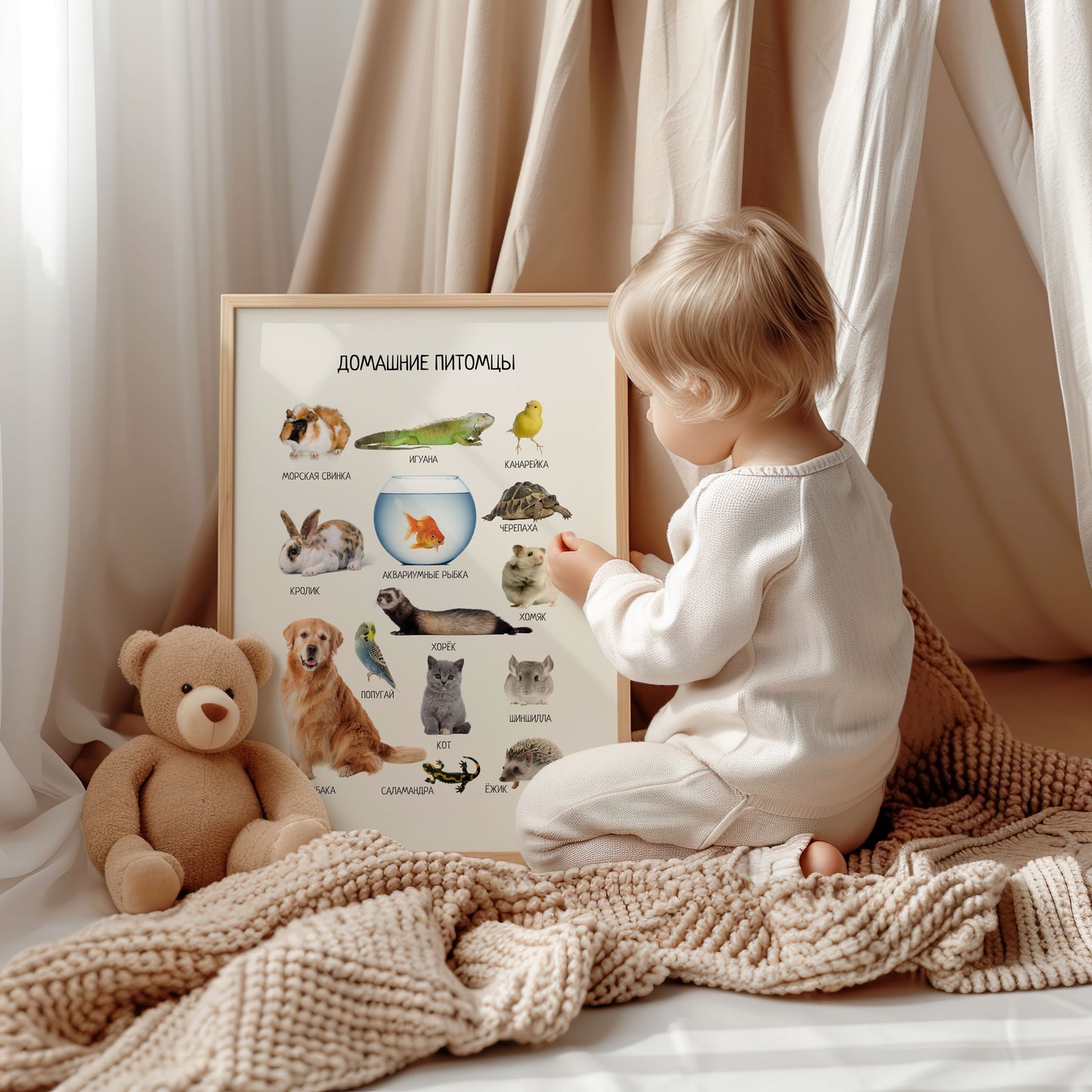 Russian Pet Animals Poster - Kids Nursery Wall Art