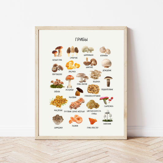 Mushroom Poster - Educational Russian Wall Decor Homeschool Poster