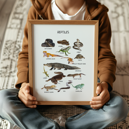 Reptiles Educational Poster, Montessori Printable Wall Art, Amphibians Poster, Classroom Decor, Nursery Room Decor, FRAME NOT INCLUDED