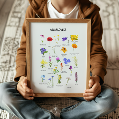 Wildflowers Educational Poster, Flowers Wall Art, Montessori Printable Poster, Classroom Decor, Nursery Room Decor, FRAME NOT INCLUDED