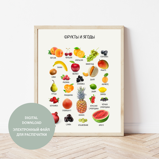 Обучающий плакат "Фрукты и ягоды" | Russian Fruit & Berries Educational Poster, Homeschool Posters, Kids Room Decor, Digital Download
