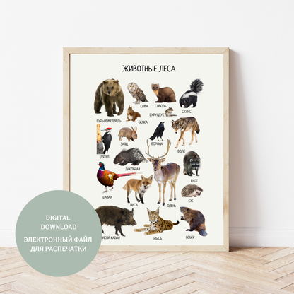 Обучающий плакат "Лесные животные" | Russian Woodland Animals Educational Poster, Homeschool Printable Poster, Kids Room Decor, Digital Download