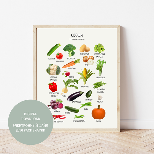 Обучающий плакат "Овощи" | Russian Vegetable Educational Poster, Home School Learning Poster, Digital Download