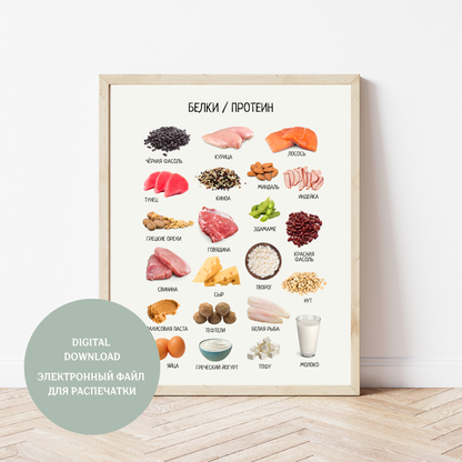 Обучающий плакат "Белковые продукты" | Russian Protein-Rich Foods Educational Poster, Printable Poster, Kids Room Decor, Digital Download
