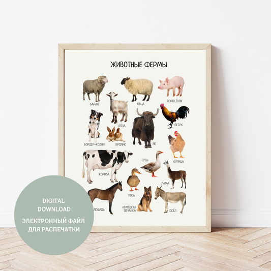Обучающий плакат "Животные на ферме" | Russian Farm Animals Educational Poster, Homeschool Poster, Kids Room Decor, Digital Download