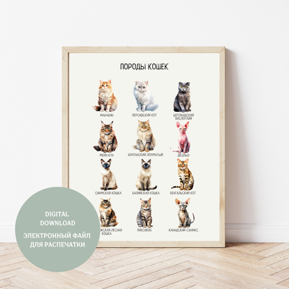 Обучающий плакат "Породы кошек" | Russian Cat Breeds Educational Posters, Printable Posters, Nursery Room Decor,  Various Sizes Available for Download