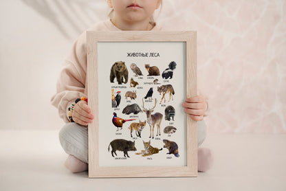 Обучающий плакат "Лесные животные" | Russian Woodland Animals Educational Poster, Homeschool Printable Poster, Kids Room Decor, Digital Download