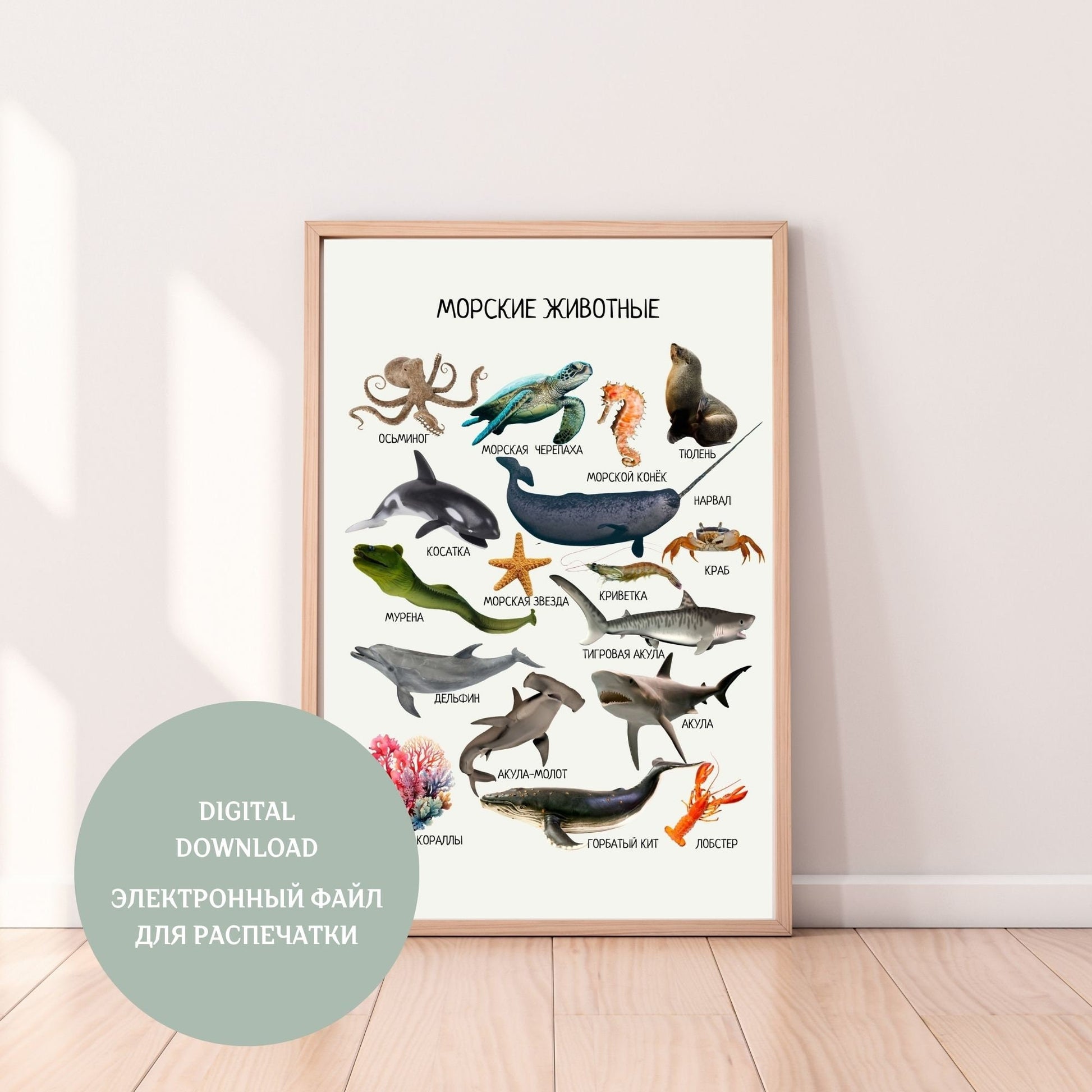 Marine Animals, Educational Poster in Russian, Ocean Animals, Montessori Poster, Learning Poster, Kids Room Decor, Printable Poster