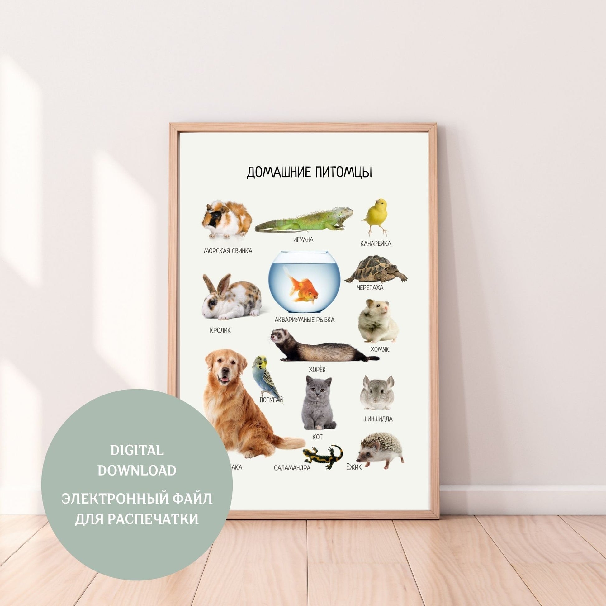 Pets Educational Poster in Russian, Montessori Poster, Learning Posters, Kids Room Decor, Printable Posters