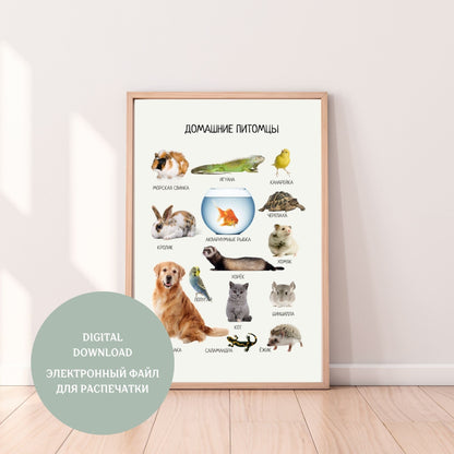 Pets Educational Poster in Russian, Montessori Poster, Learning Posters, Kids Room Decor, Printable Posters