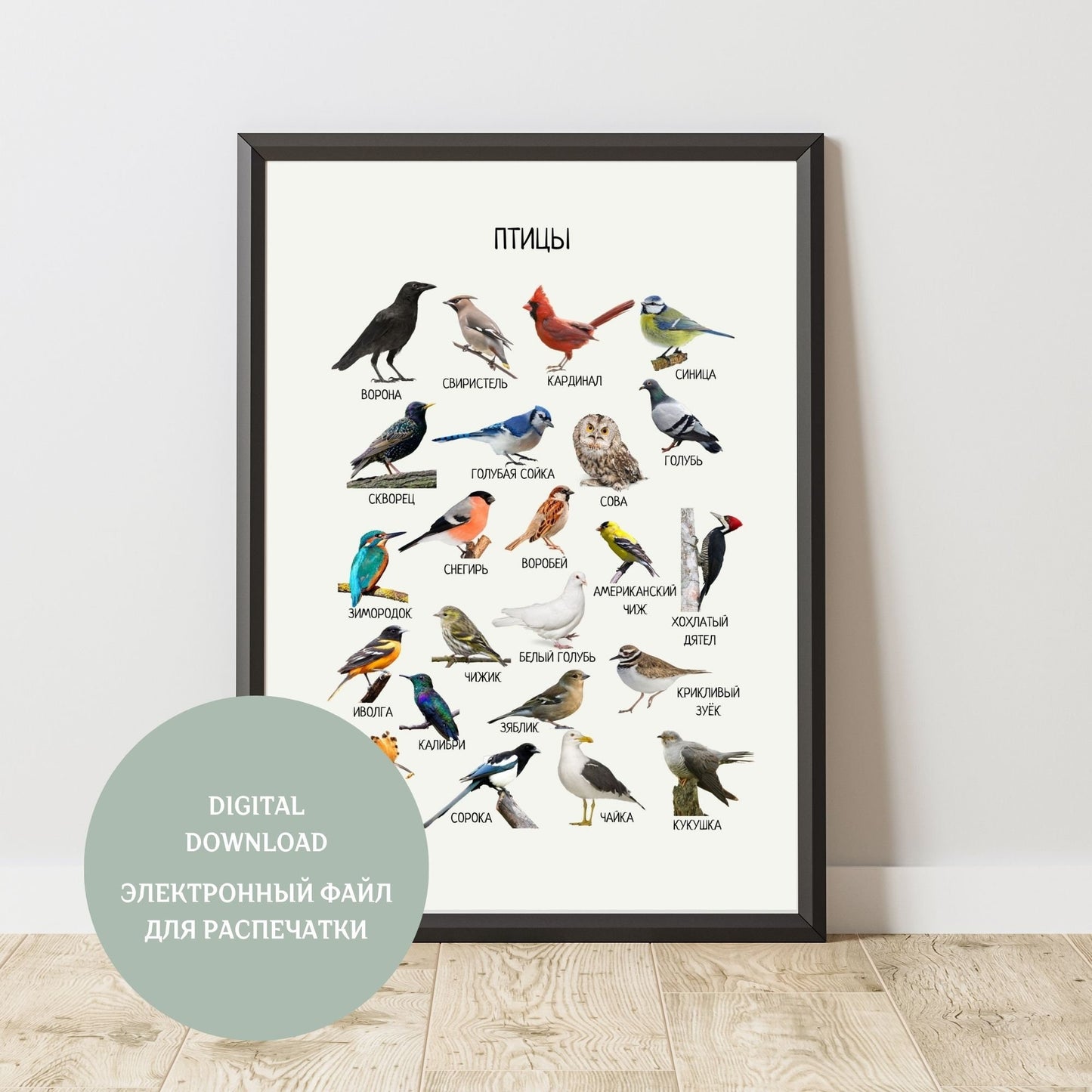 Birds Poster Educational Poster in Russian, Montessori Poster, Learning Posters, Kids Room Decor, Printable Poster