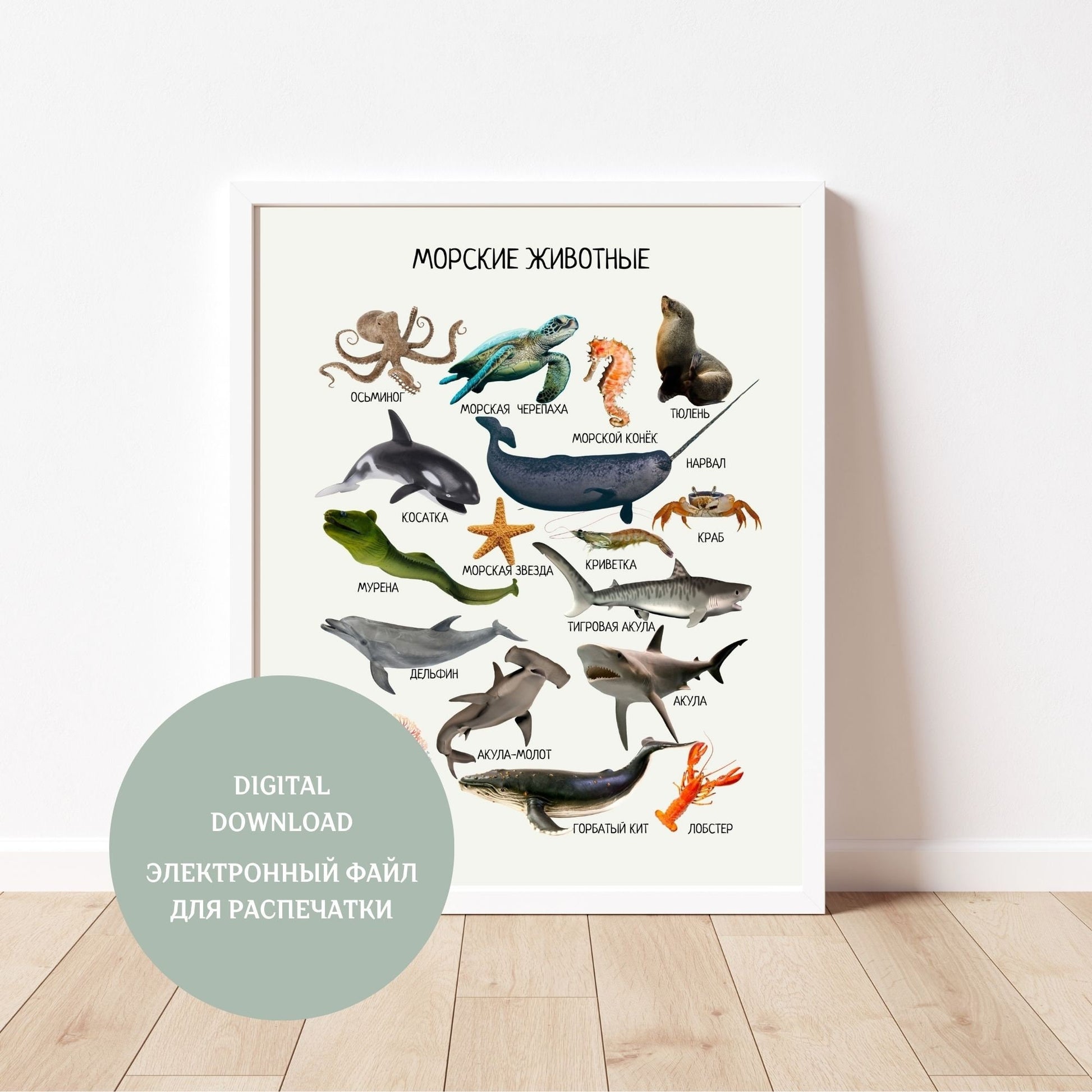 Marine Animals, Educational Poster in Russian, Ocean Animals, Montessori Poster, Learning Poster, Kids Room Decor, Printable Poster