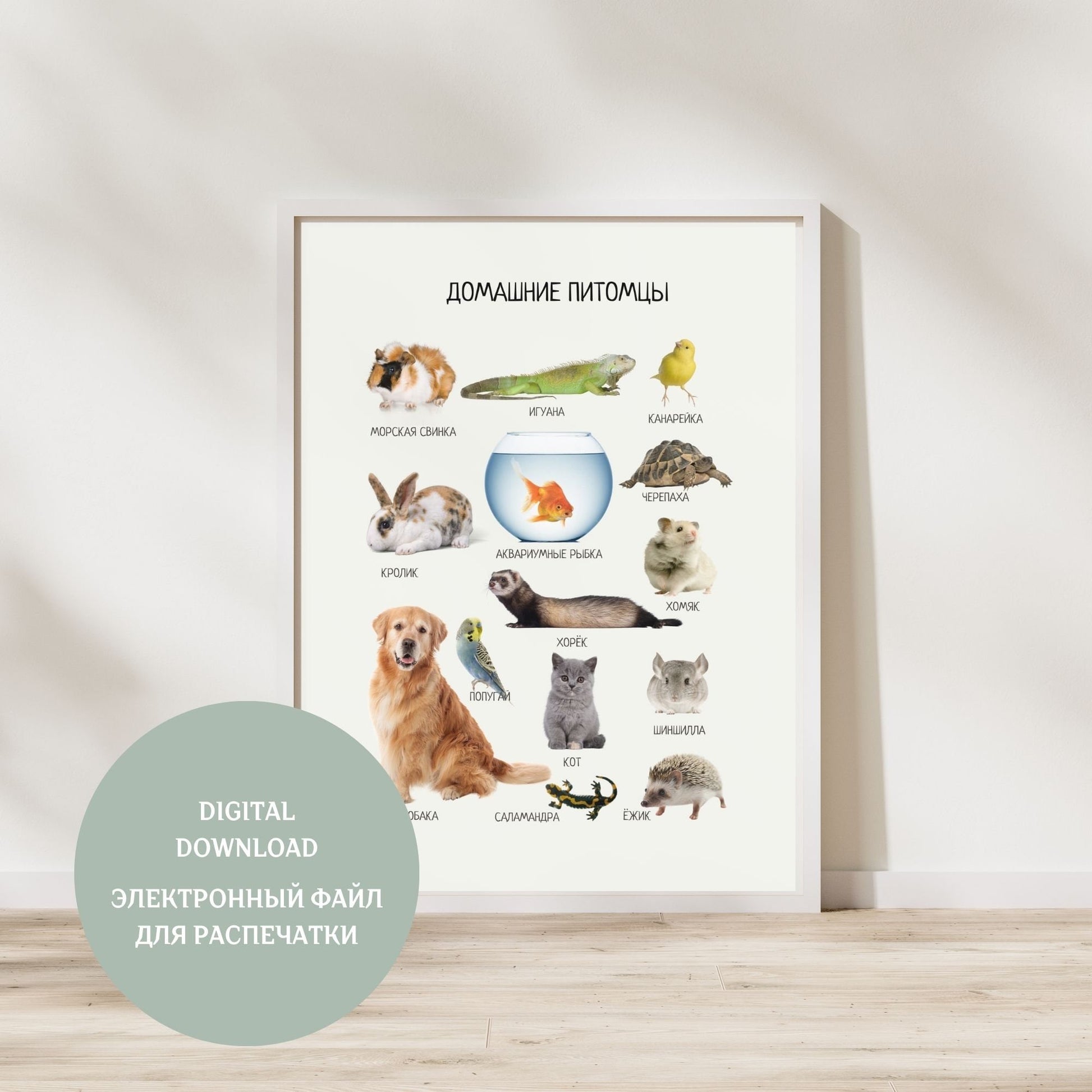 Pets Educational Poster in Russian, Montessori Poster, Learning Posters, Kids Room Decor, Printable Posters