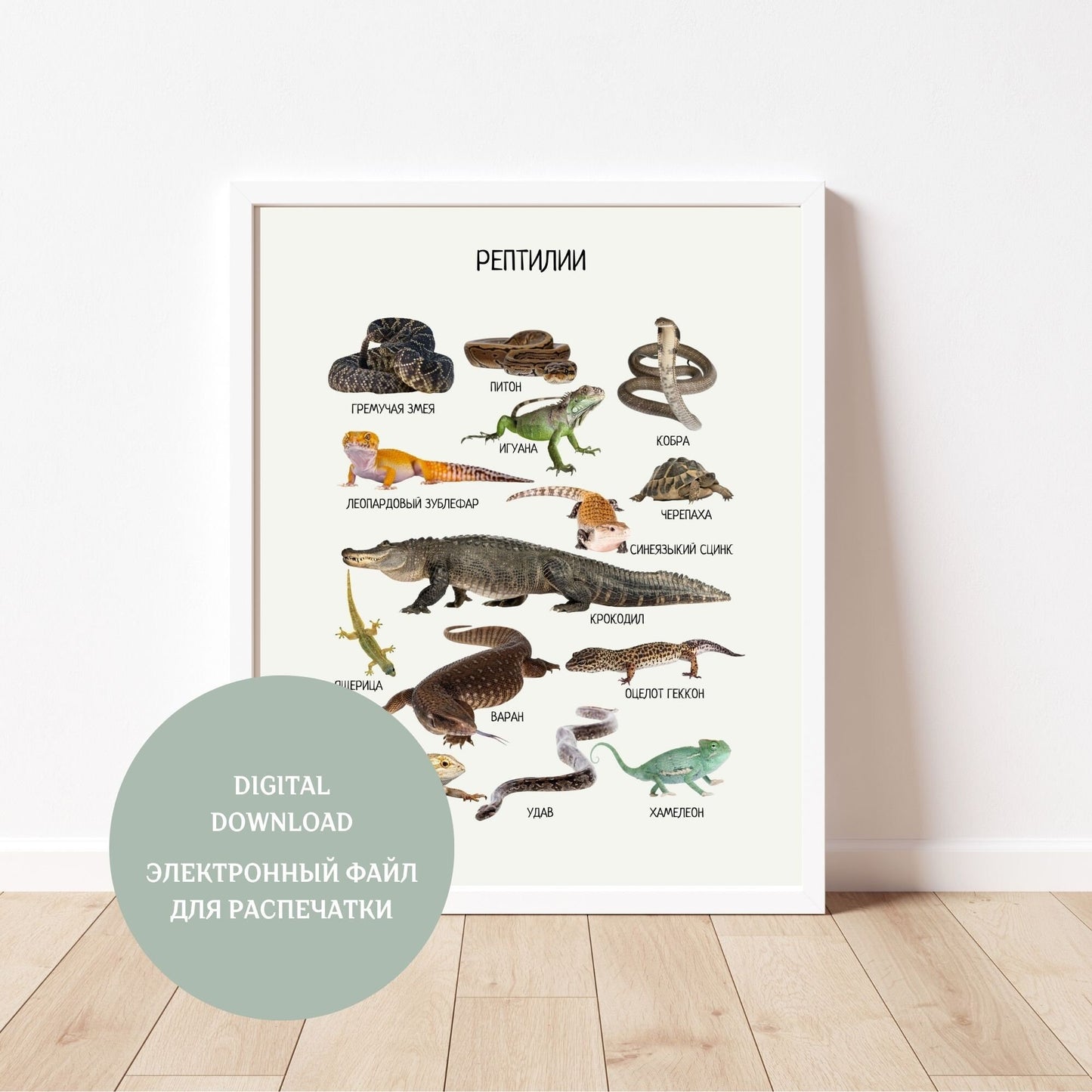 Reptiles Educational Poster in Russian, Montessori Poster, Learning Posters, Kids Room Decor, Printable Posters