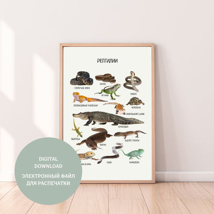 Reptiles Educational Poster in Russian, Montessori Poster, Learning Posters, Kids Room Decor, Printable Posters