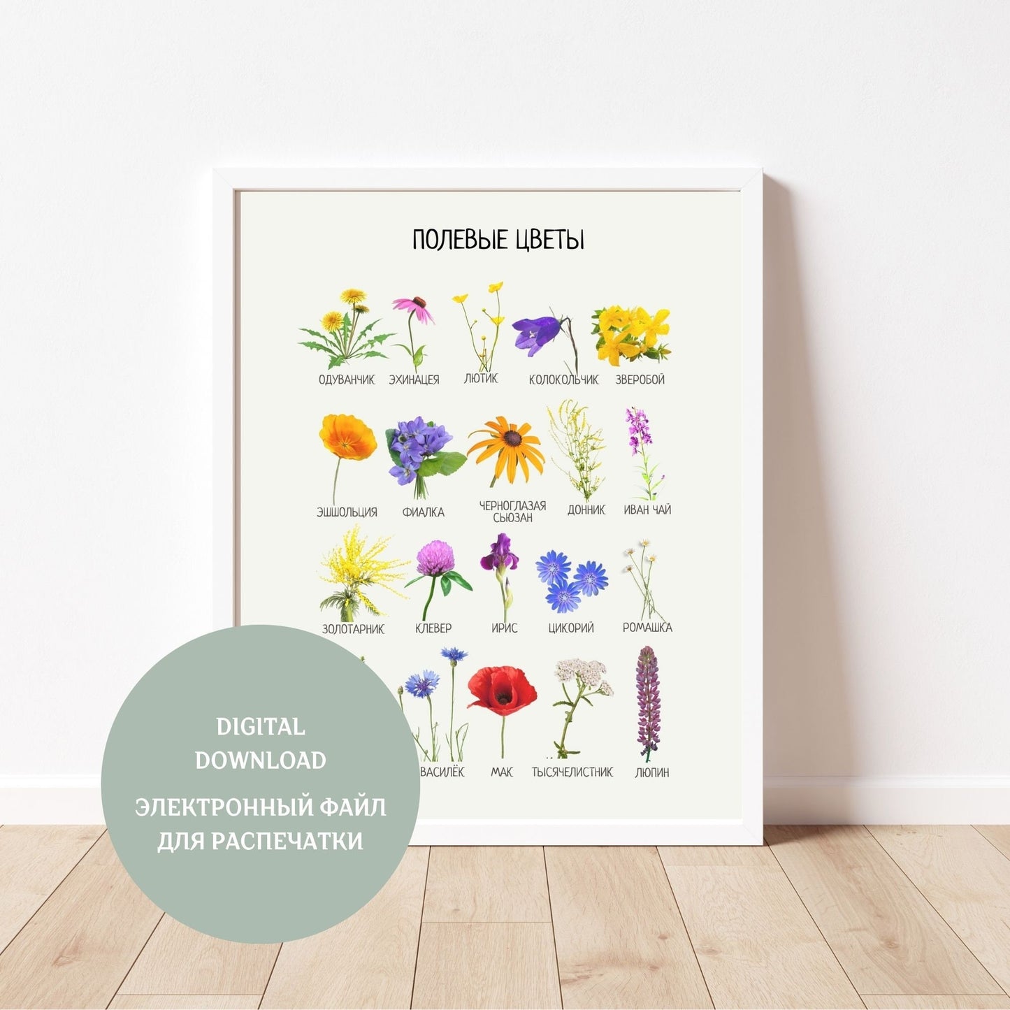 Обучающий плакат "Полевые Цветы" | Wildflowers Educational Poster, Various Sizes Available for Download | Learning Printable Poster