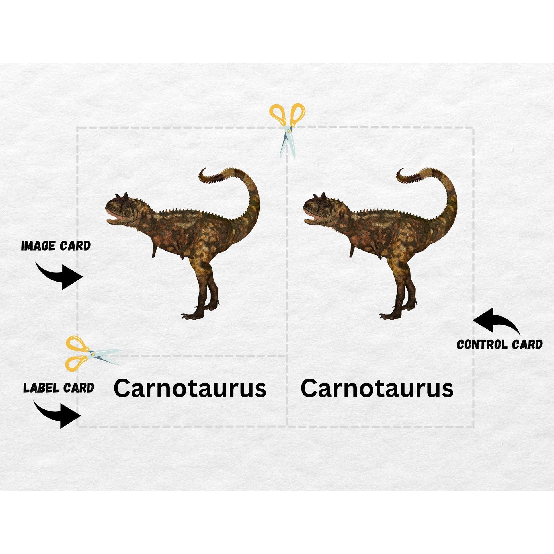 24 Dinosaur Nomenclature Cards, 3 Part Montessori Cards, Preschool Vocabulary Activity, Educational Pre-reading Printable Cards