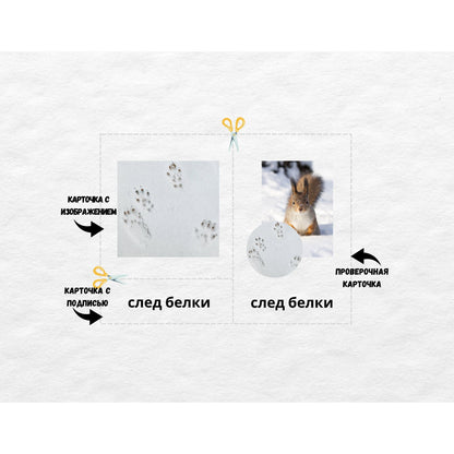 Трёхчастные классификационные карточки Монтессори "Следы животных", карточки для чтения