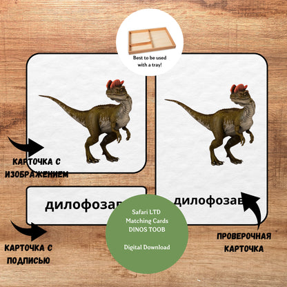 Dinosaur, 3 Part Russian Montessori Cards, 12 Printable Safari LTD Toobs Coordinates, Preschool Vocabulary Activity, Printable Cards