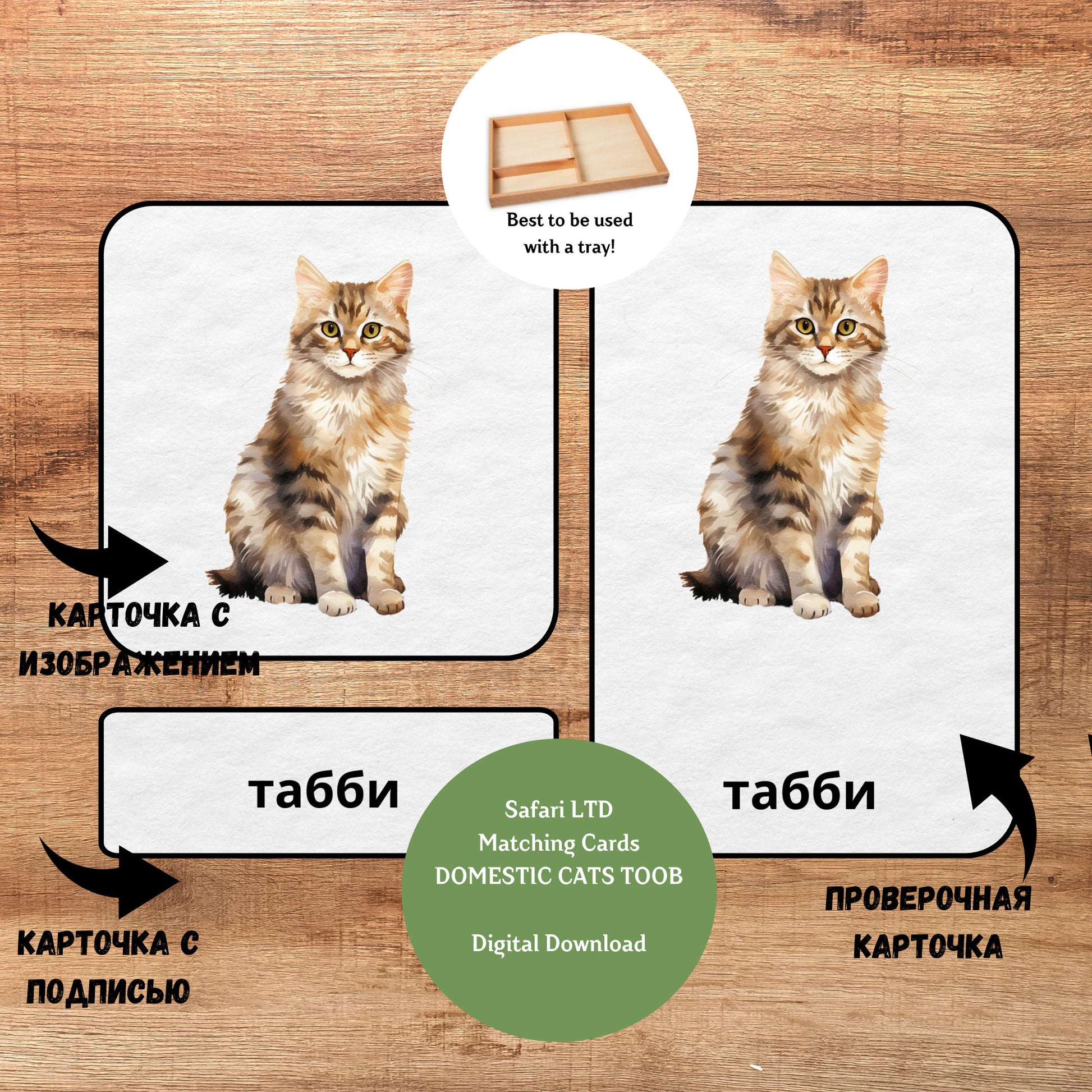 Трёхчастные классификационные карточки Монтессори "Домашние кошки", карточки для фигурок Safari LTD Toob "Domestic Cats Figurines"