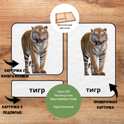 Трёхчастные классификационные карточки Монтессори "Дикие животные", карточки для фигурок Safari LTD Toob "Wild Animals"