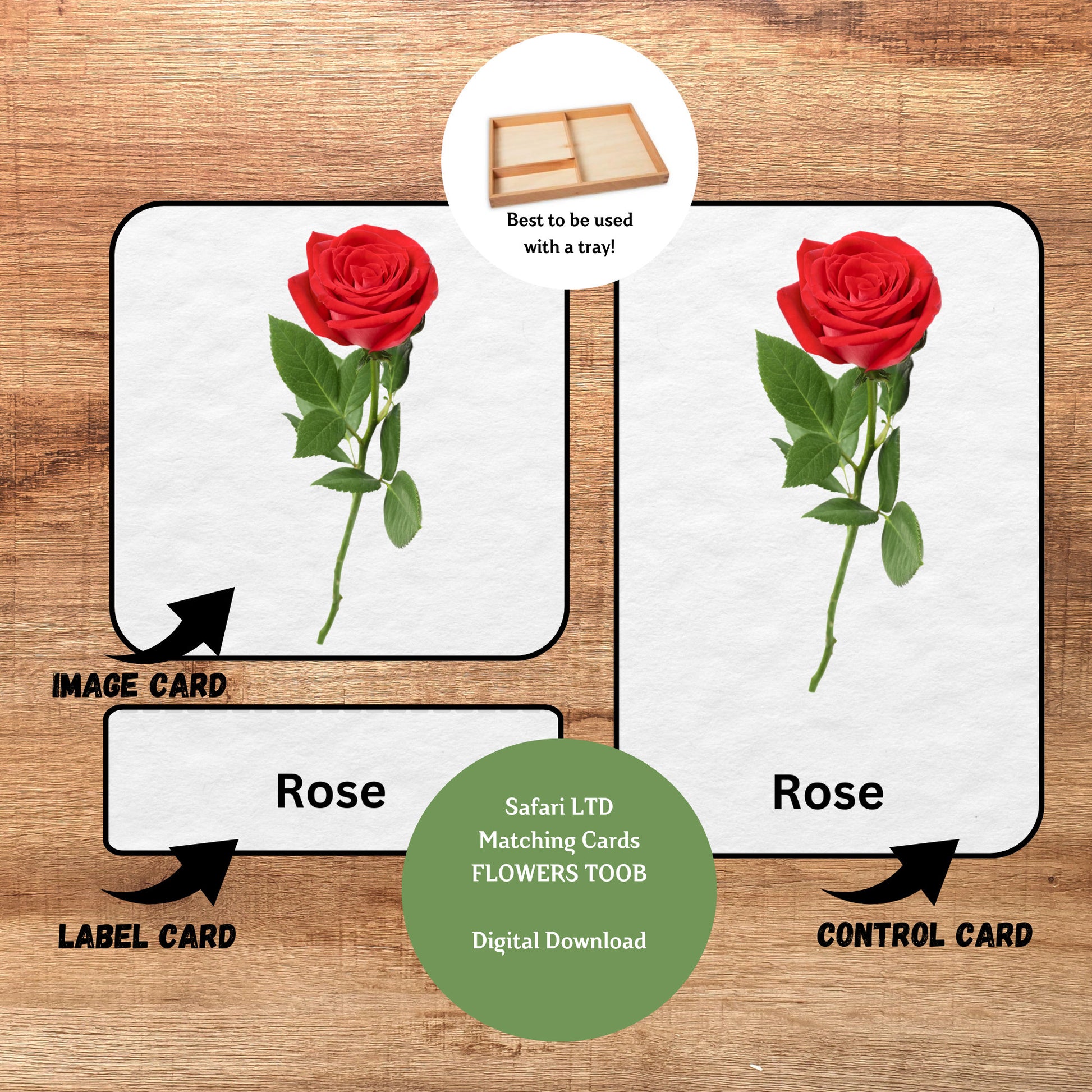 Flowers Nomenclature, 3 Part Montessori Cards, 8 Safari LTD Toobs Coordinates, Preschool Vocabulary Activity, Pre-reading Printable Cards