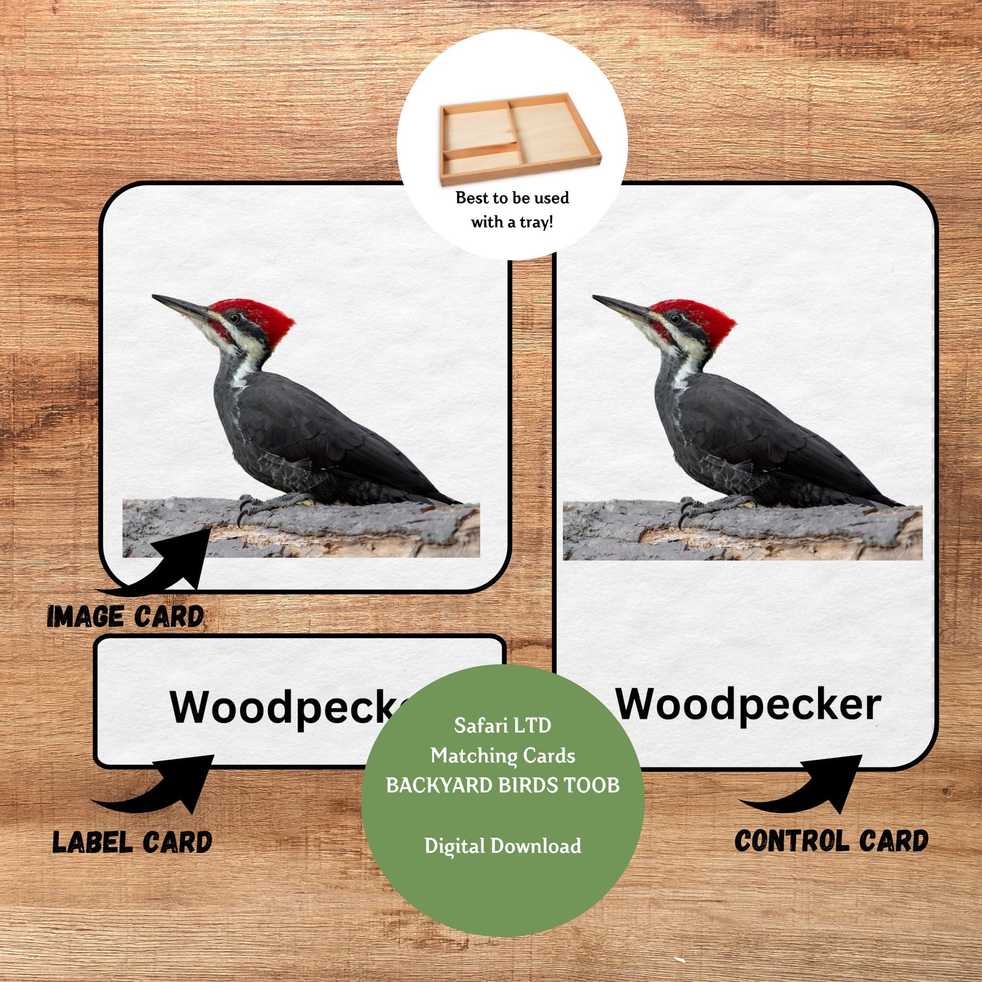 Backyard Birds, 3 Part Montessori Cards, 7 Safari LTD Toobs Coordinates, Preschool Vocabulary Activity, Pre-reading Printable Cards