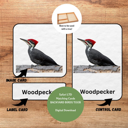 Backyard Birds, 3 Part Montessori Cards, 7 Safari LTD Toobs Coordinates, Preschool Vocabulary Activity, Pre-reading Printable Cards