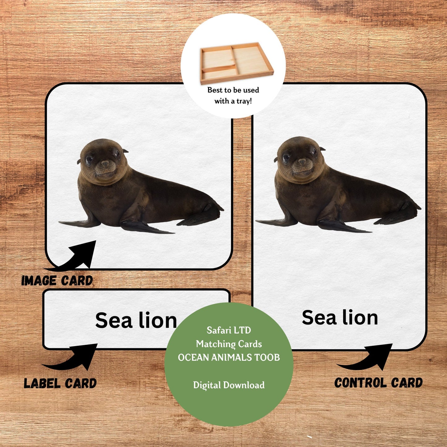 Ocean Animals, 3 Part Montessori Cards, 12 Safari LTD Toobs Coordinates, Preschool Vocabulary Activity, Pre-reading Printable Cards