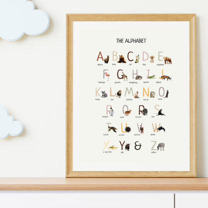 Animal alphabet poster