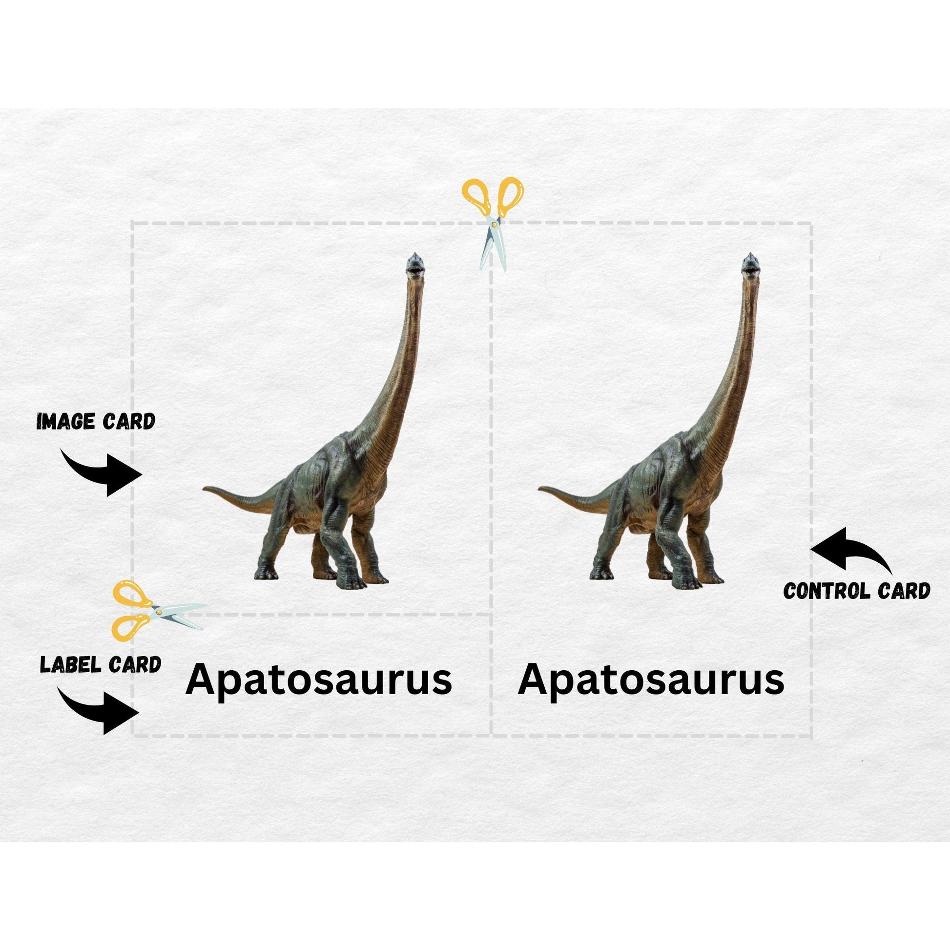 Dinosaur, 3 Part Montessori Cards, 12 Printable Safari LTD Toobs Coordinates, Preschool Vocabulary Activity, Pre-reading Printable Cards