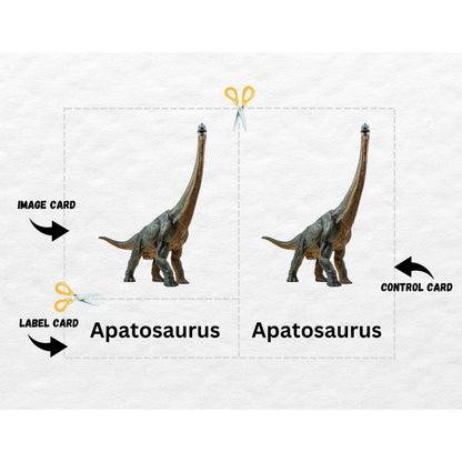 Dinosaur, 3 Part Montessori Cards, 12 Printable Safari LTD Toobs Coordinates, Preschool Vocabulary Activity, Pre-reading Printable Cards