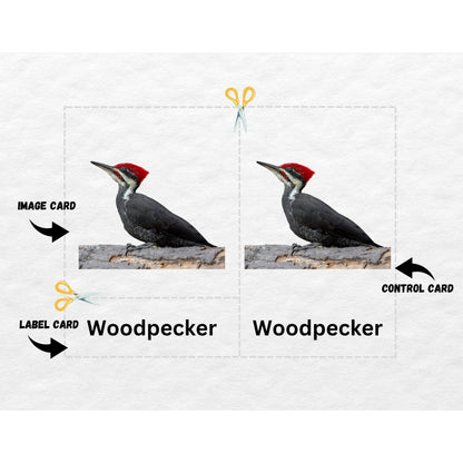 Backyard Birds, 3 Part Montessori Cards, 7 Safari LTD Toobs Coordinates, Preschool Vocabulary Activity, Pre-reading Printable Cards