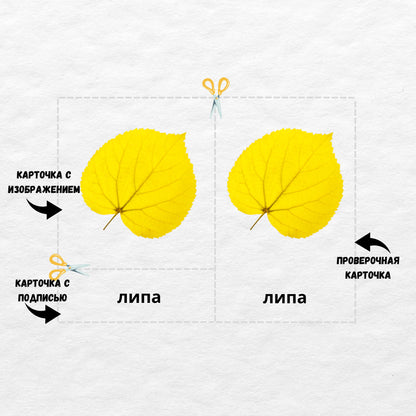 Трёхчастные классификационные карточки Монтессори "Осенние листья", карточки для чтения