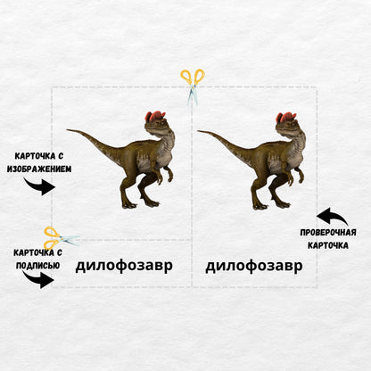 Dinosaur, 3 Part Russian Montessori Cards, 12 Printable Safari LTD Toobs Coordinates, Preschool Vocabulary Activity, Printable Cards