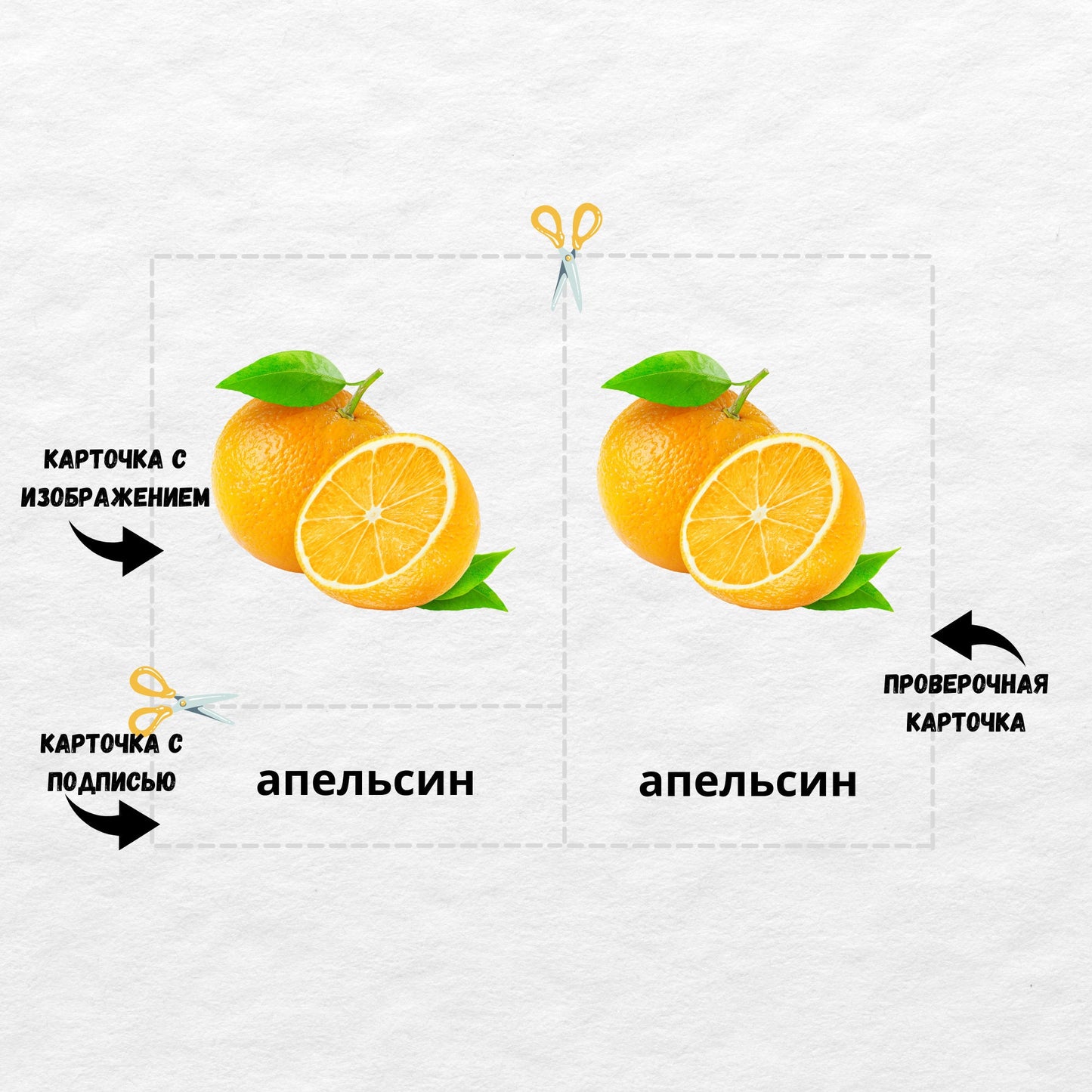 Трёхчастные классификационные карточки Монтессори "Фрукты и Овощи", карточки для фигурок Printable Safari LTD Toob "Fruits and Vegetables"