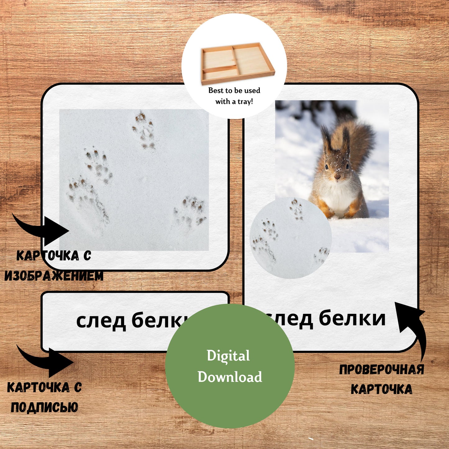 Трёхчастные классификационные карточки Монтессори "Следы животных", карточки для чтения