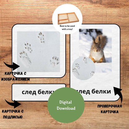 Трёхчастные классификационные карточки Монтессори "Следы животных", карточки для чтения