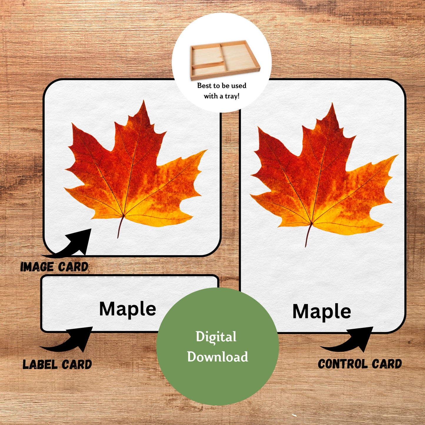 9 Fall Leaves Nomenclature, 3 Part Montessori Cards, Preschool Vocabulary Activity, Educational Pre-reading Printable Cards